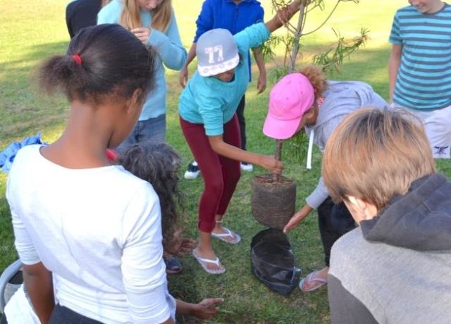 School Educational Workshops and Tree Planting Programme - Hoekwil Primary School - Precious Tree Project