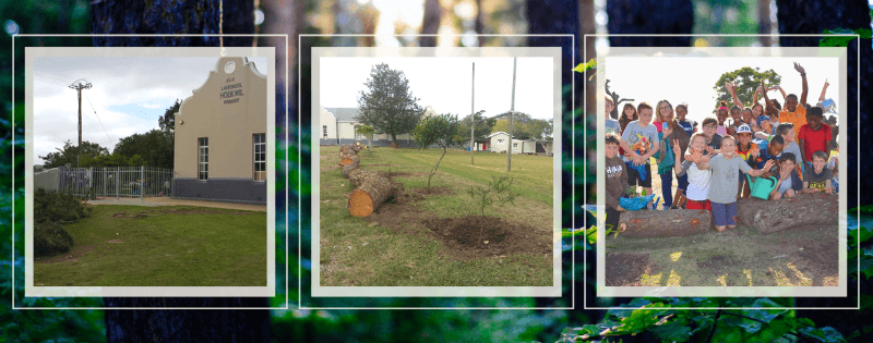 School Educational Workshop & Tree Planting Programme - Precious Tree Project