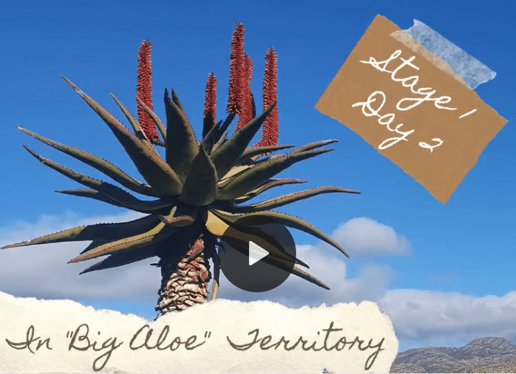 TOUR DE BURN – STAGE 1, DAY 2: Cycling into “Big Aloe” Territory