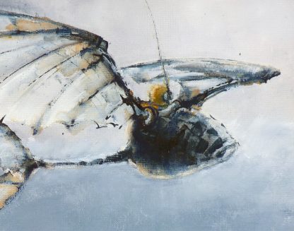 Ornithopter Sketch Close Up 1