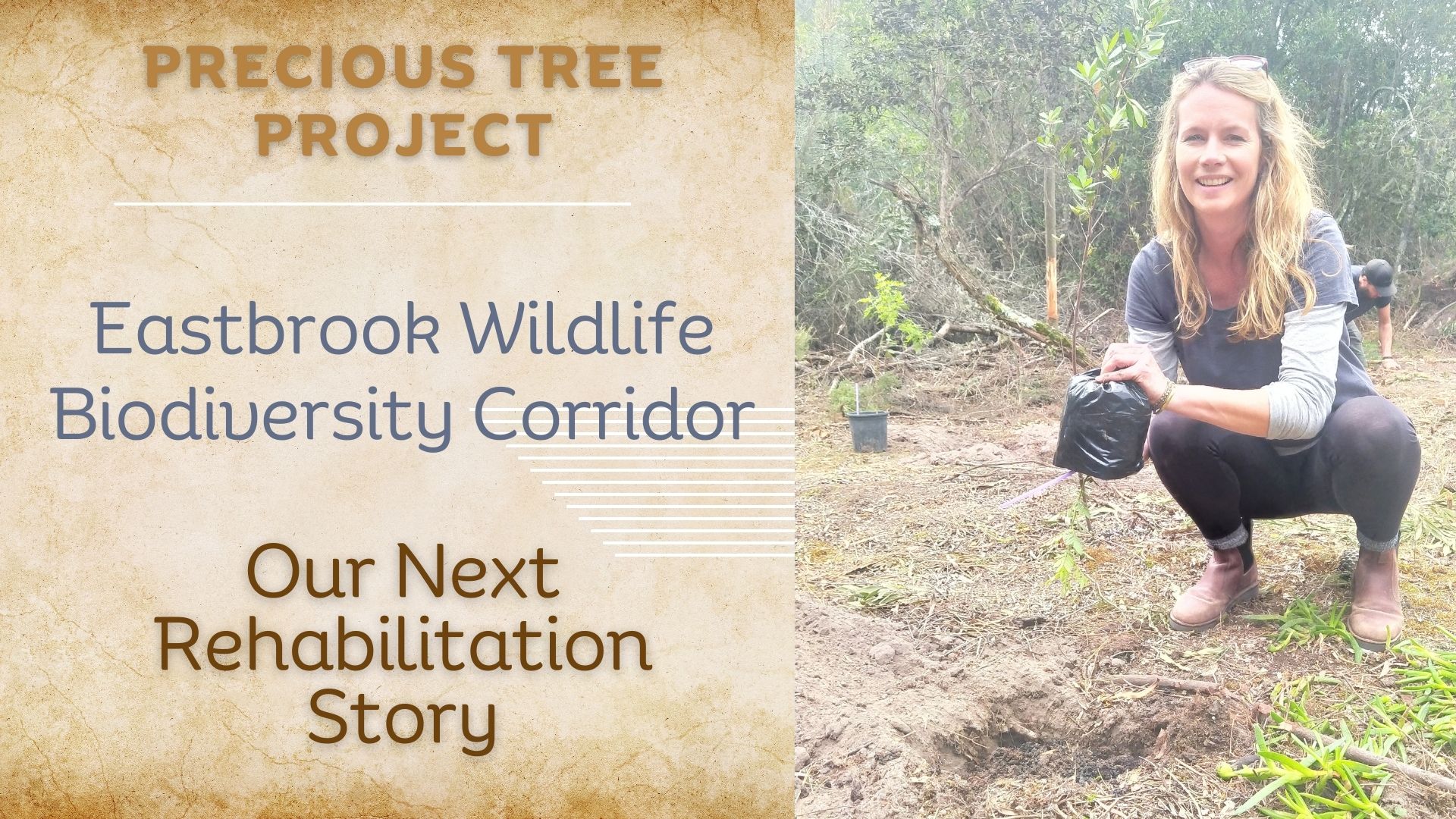 eastbrook wildlife biodiversity corridor precious tree project