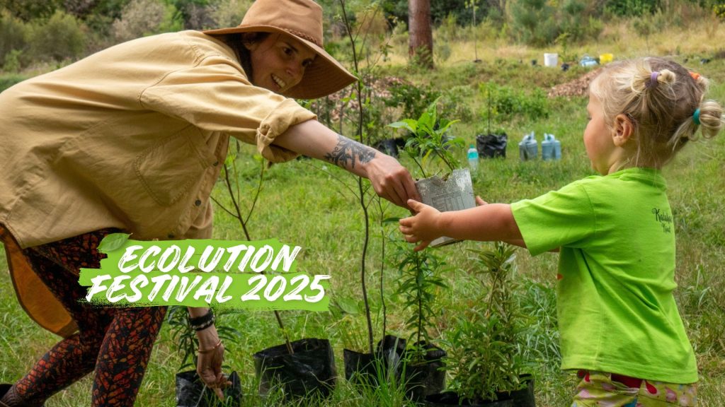 ecolution festival 2025