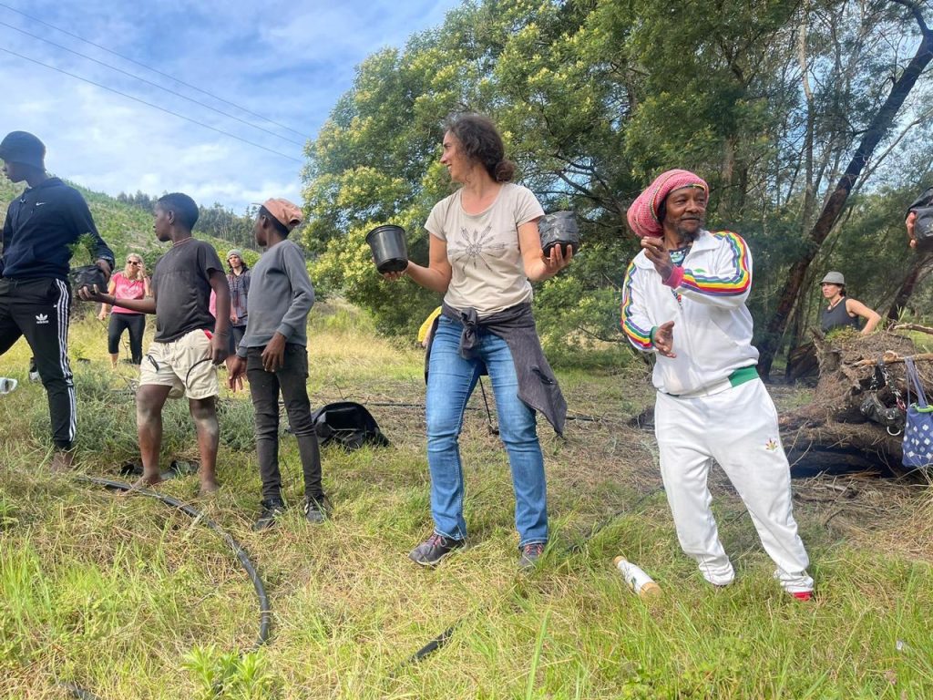 Summer Solstice Festival - Precious Tree Project