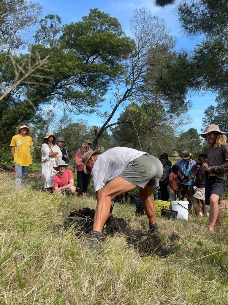 Summer Solstice Festival - Precious Tree Project