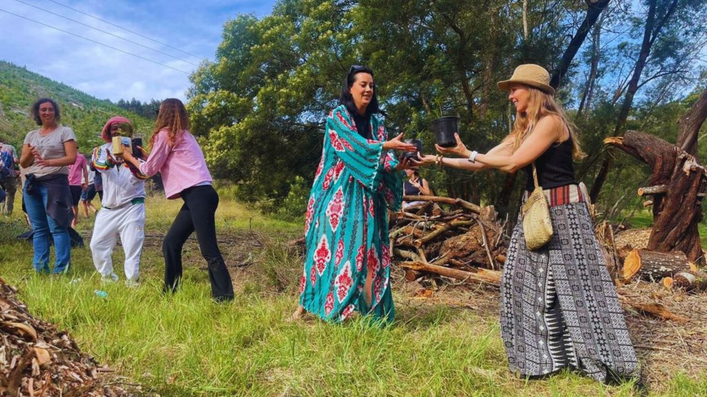 Summer Solstice Festival - Precious Tree Project