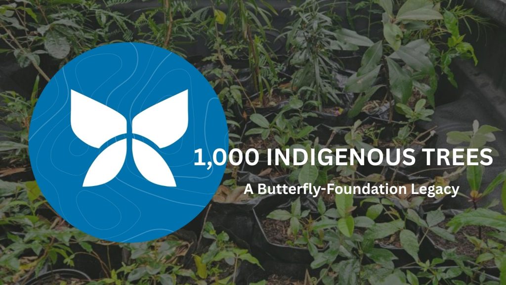 1,000 Indigenous Trees Butterfly Foundation Ecolution Festival 2025