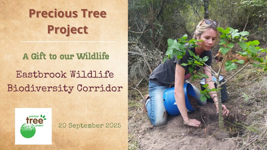 git to wildlife eastbrook wlc precious tree project