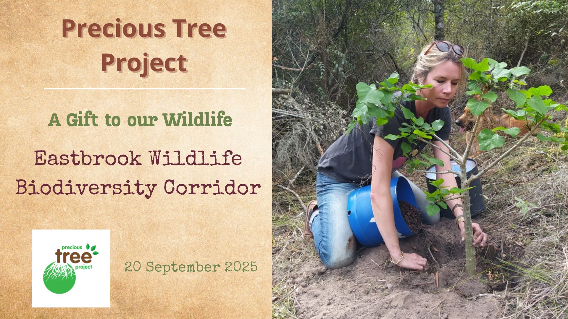 git to wildlife eastbrook wlc precious tree project